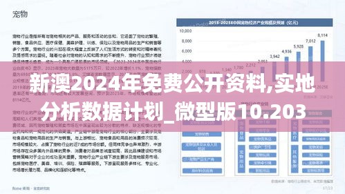 全面解析，2025年新澳正版资料查询方法与落实策略,全面解析,2025年新澳正版资料查询方法与落实策略