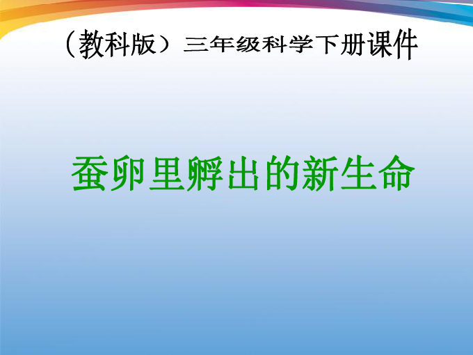 三中三必中一组澳门—聆听大自然的声音,感受生命的律动