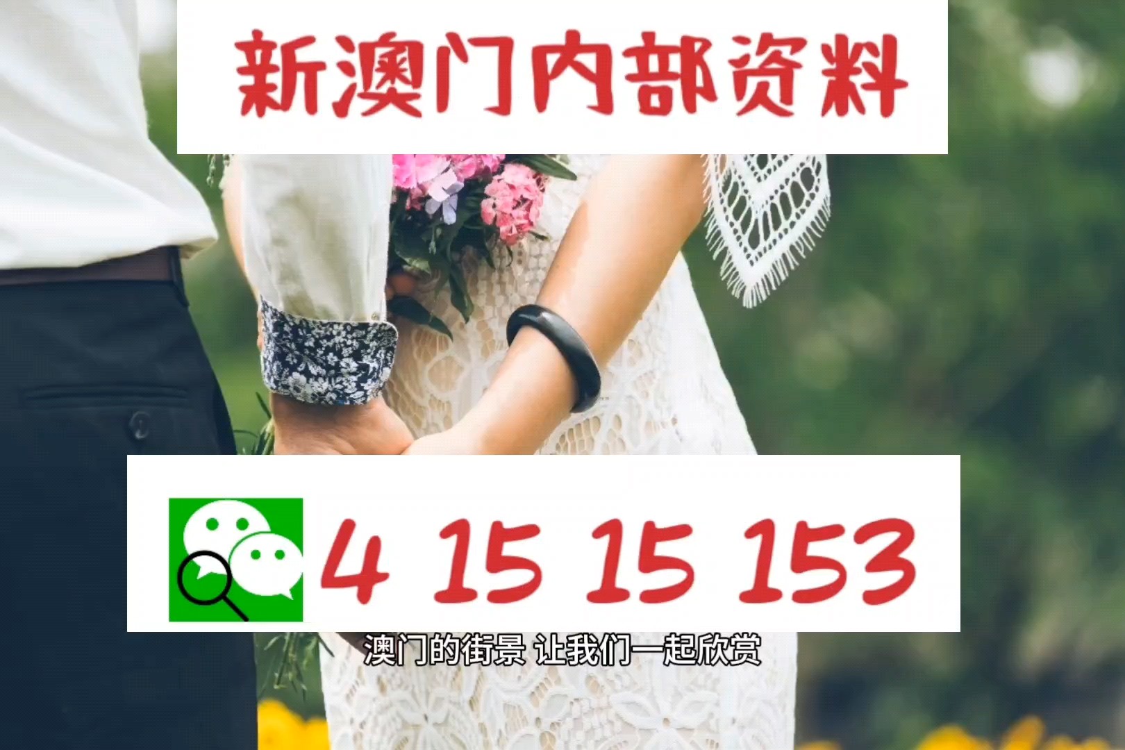 三中三必中一组澳门—聆听大自然的声音,感受生命的律动